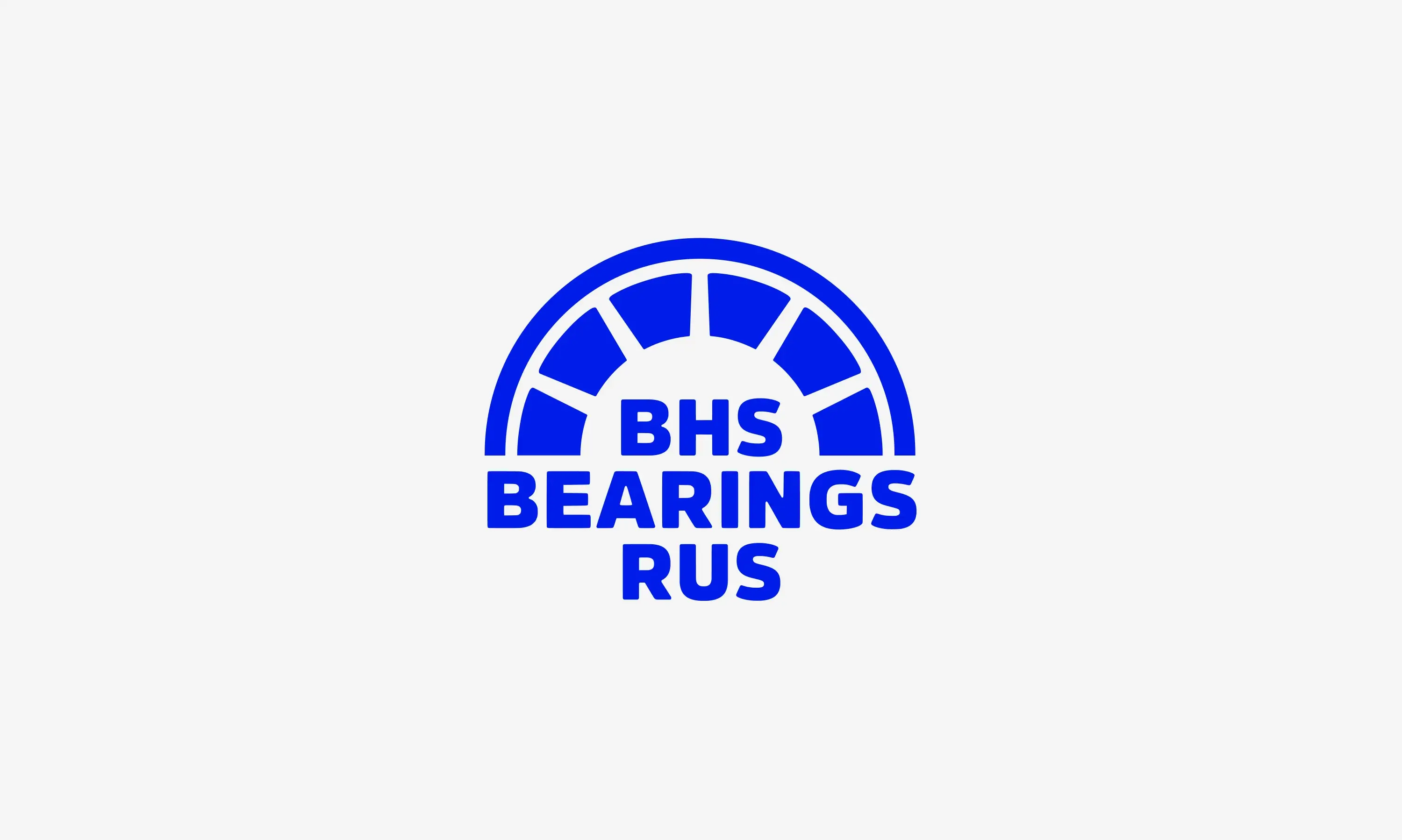 BHS Bearings Rus official logo